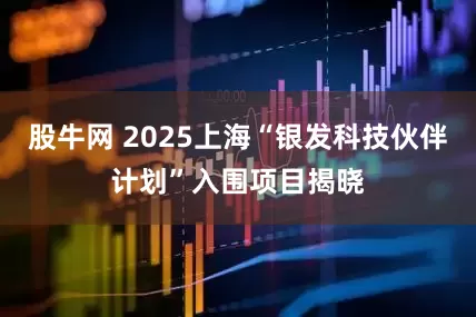 股牛网 2025上海“银发科技伙伴计划”入围项目揭晓