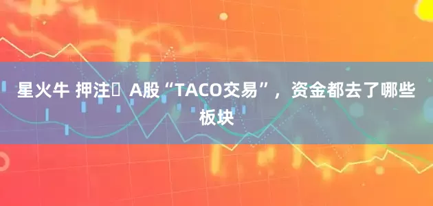 星火牛 押注​A股“TACO交易”，资金都去了哪些板块