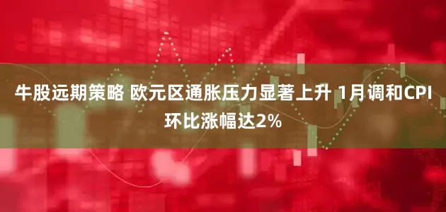 牛股远期策略 欧元区通胀压力显著上升 1月调和CPI环比涨幅达2%