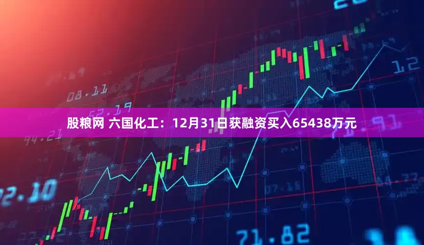 股粮网 六国化工：12月31日获融资买入65438万元